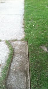 Hand Edged Lawn