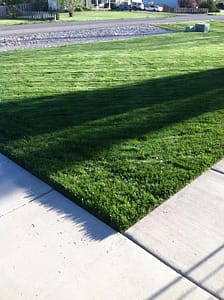 Cedar Lawn Care Client Lawn