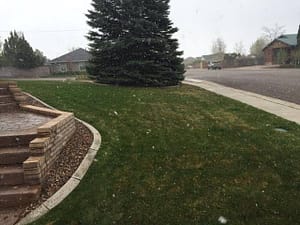 mowing in the snow