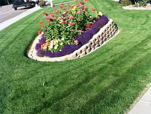 Clean Cut Lawn
