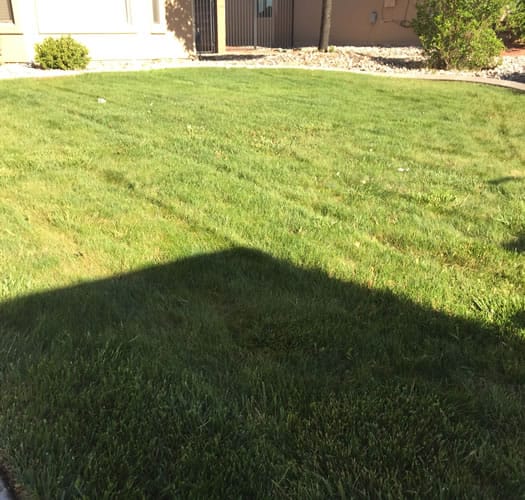 1 Month Later