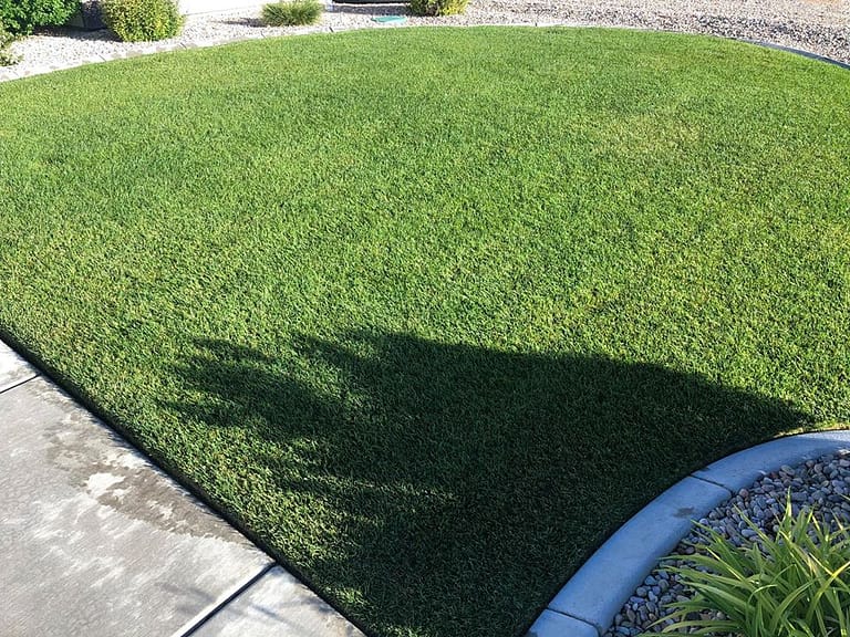 Saint George Lawn Mowing Recommendations