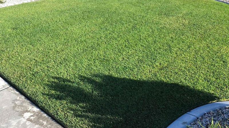 Example Of A Beautifully Maintained Lawn.