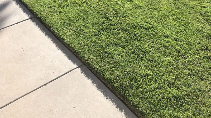 Lawn Trimming Service St. George, Utah.