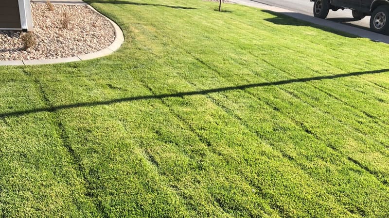 Weekly Lawn Mowing Services In St. George, Utah.