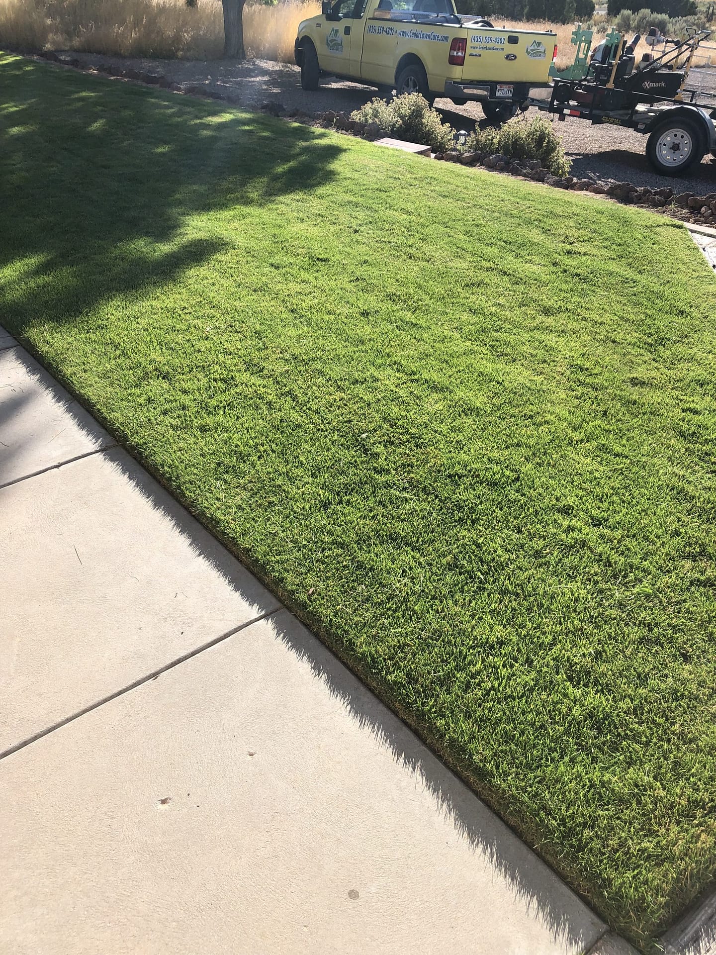 Lawn deals care recommendations