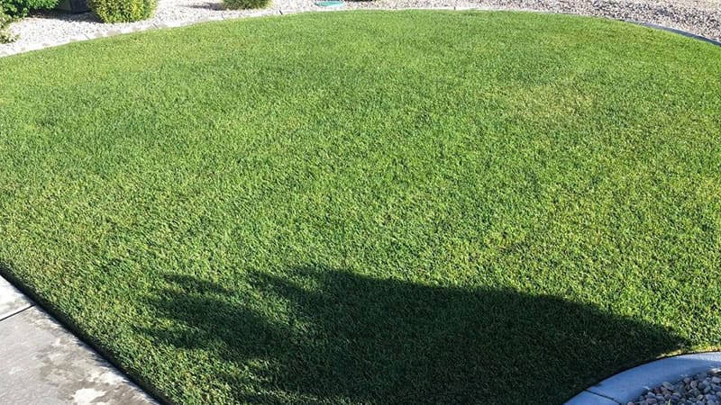 Lawn Care Company