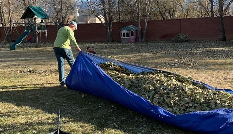 Removing leaves from a clients property.