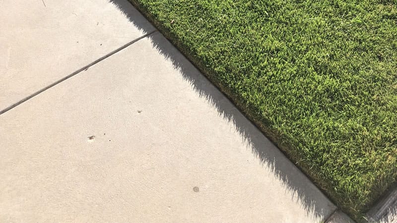 Lawn Edging Service St. George Utah