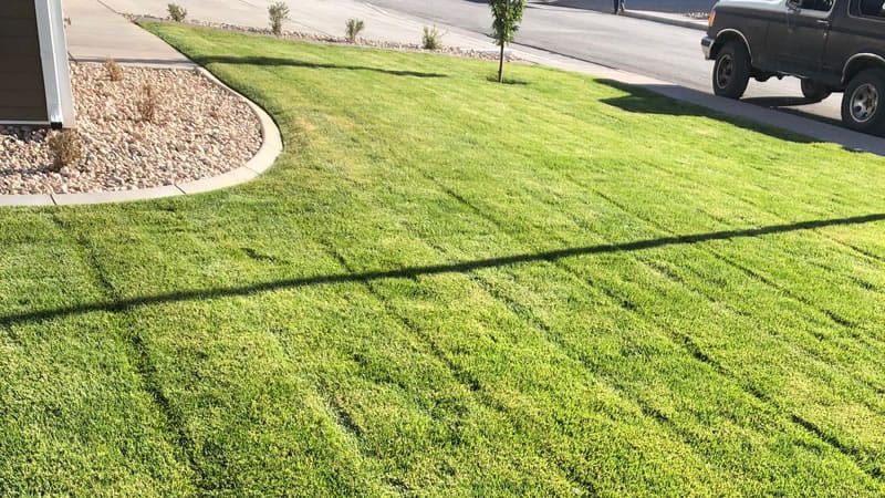 Lawn Fertilization St. George Utah